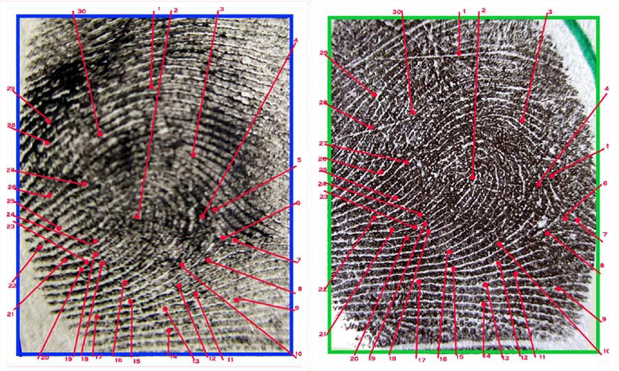 Fingerprint Analysis